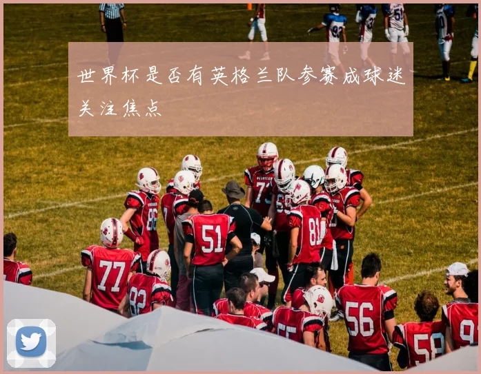 世界杯是否有英格兰队参赛成球迷关注焦点