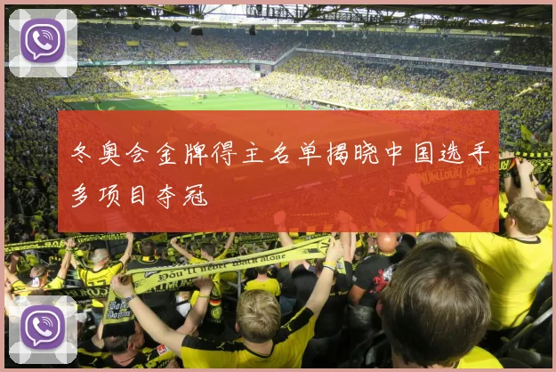 冬奥会金牌得主名单揭晓中国选手多项目夺冠