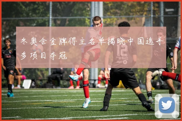 冬奥会金牌得主名单揭晓中国选手多项目夺冠