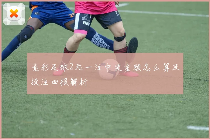 竞彩足球2元一注中奖金额怎么算及投注回报解析