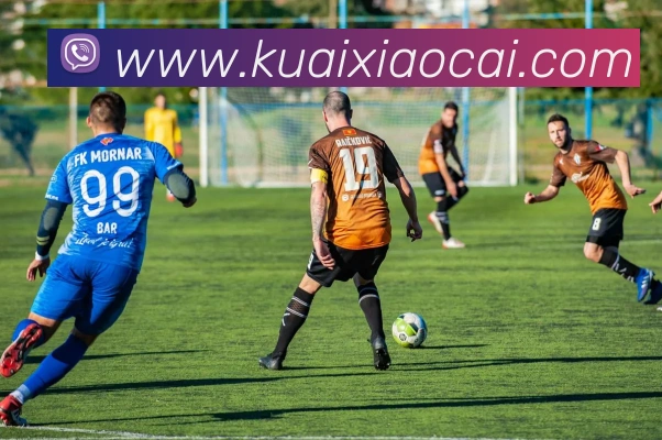 leyu乐鱼手机官网发展历程